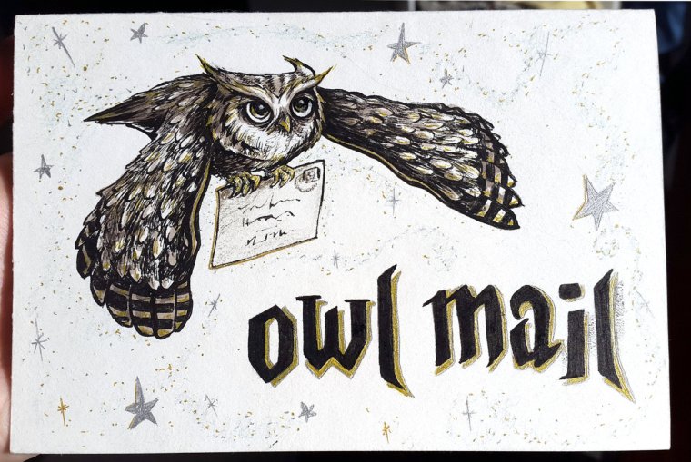 Сова Гарри Поттера Хогвартса Гарри