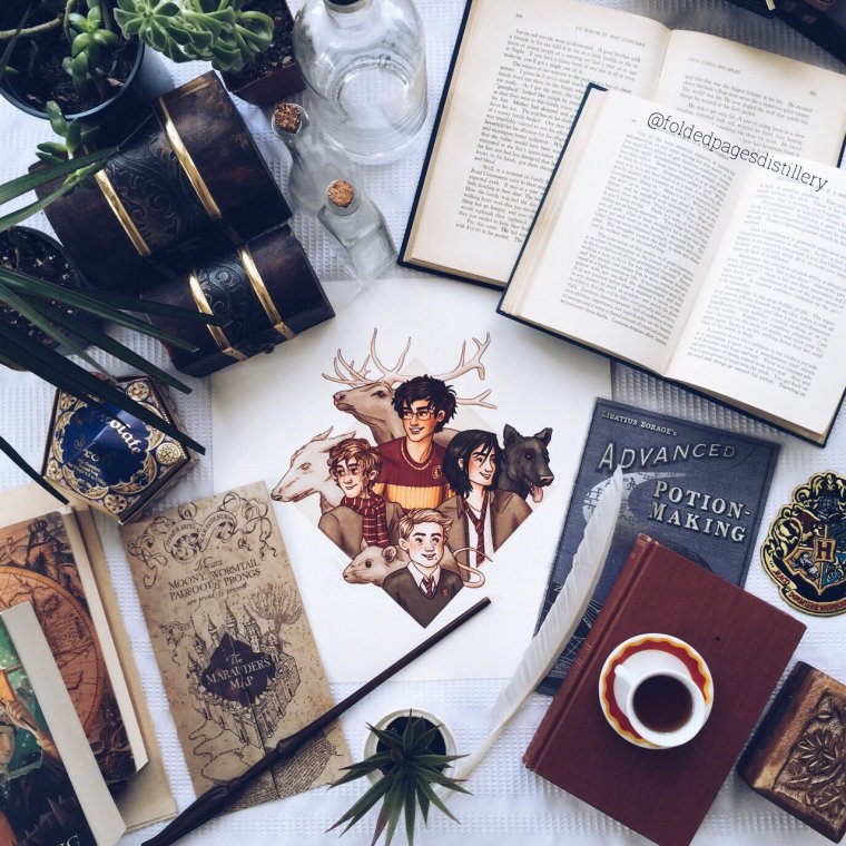 Книжная Эстетика Гарри Поттер