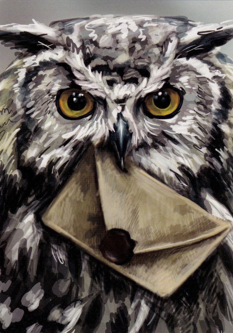 Филин Гарри Поттера