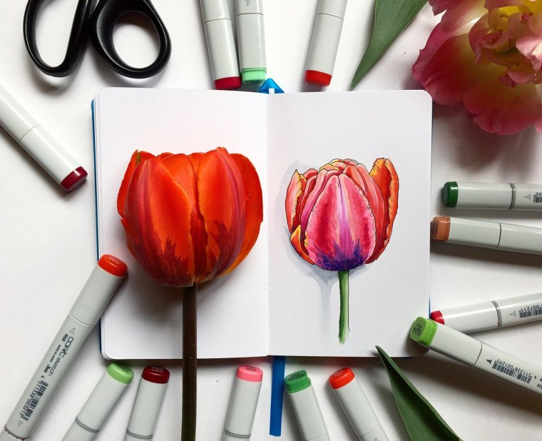 Скетчбуки для рисования с едой