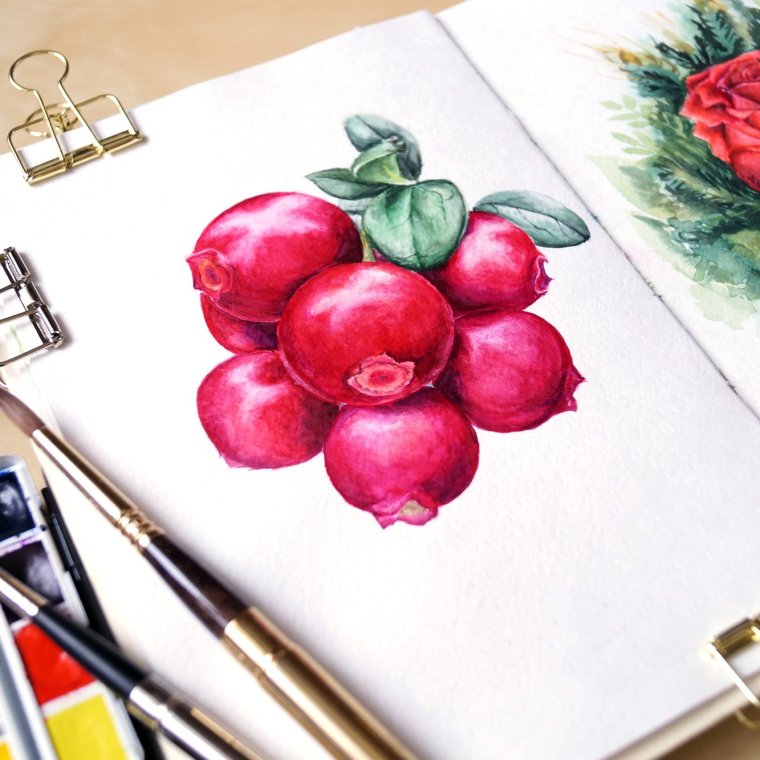 Скетчинг акварель Магнолия