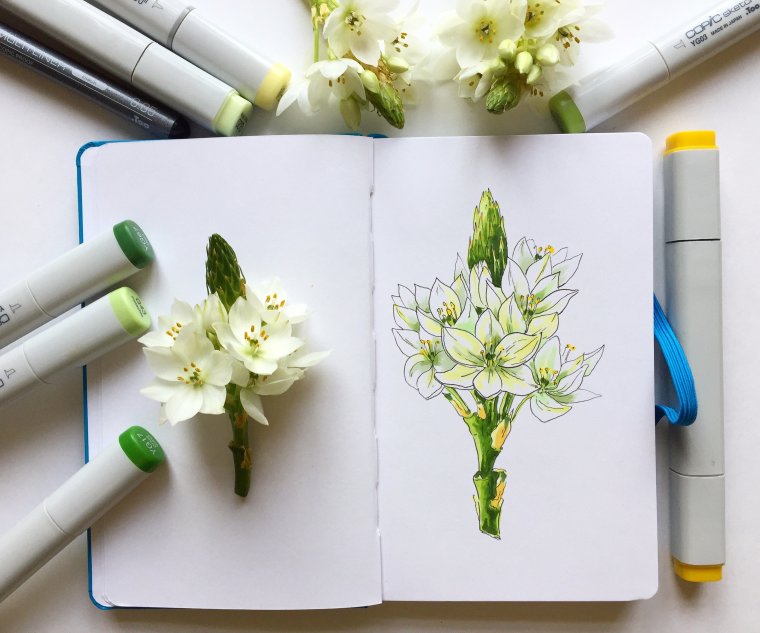 Маркеры для скетчинг