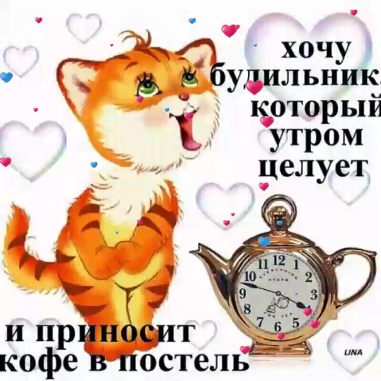 Пожелания доброго утра прикольные