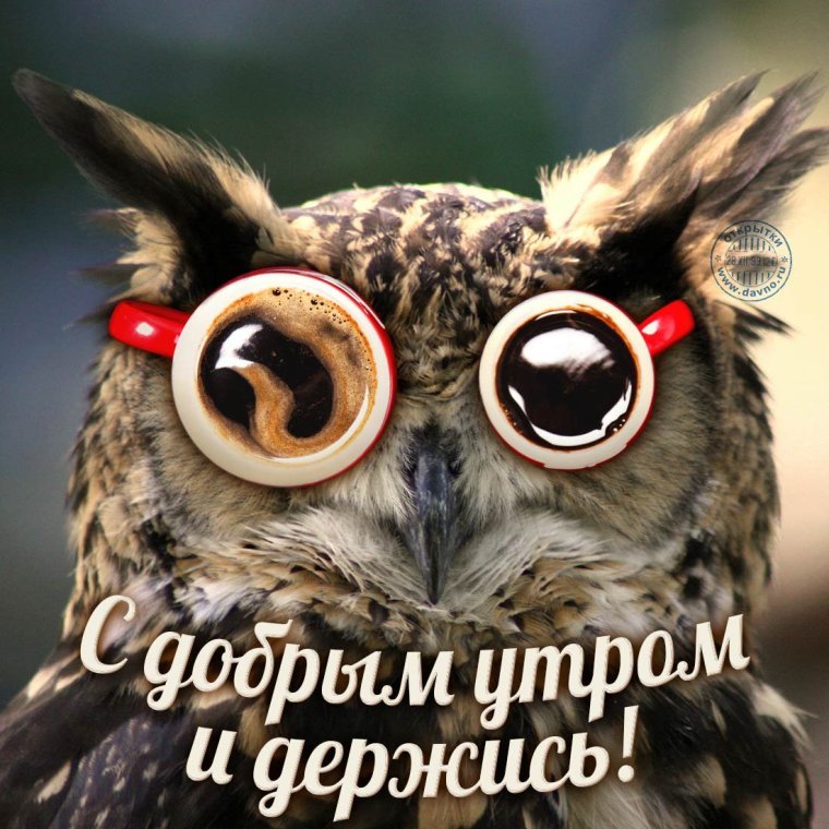 Прикольные открытки с добром утром