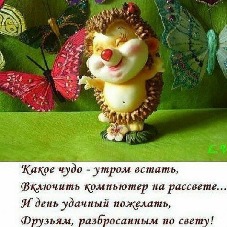 Веселые пожелания с добрым утром