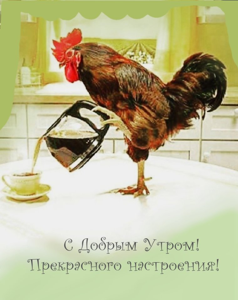 Необычные пожелания с добрым утром