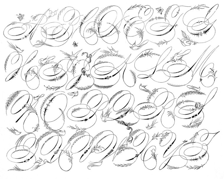 Спенсериан алфавит