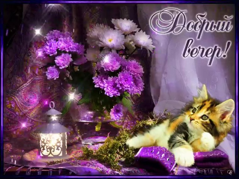 Спокойного вечера