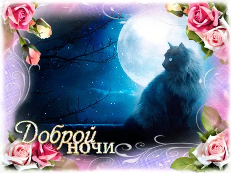 Доброй вам ночи