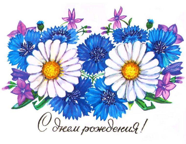 Открытка с днем рождения васильки