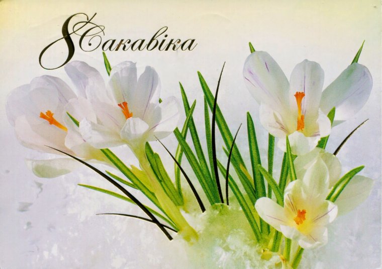 Восьмое сакавика