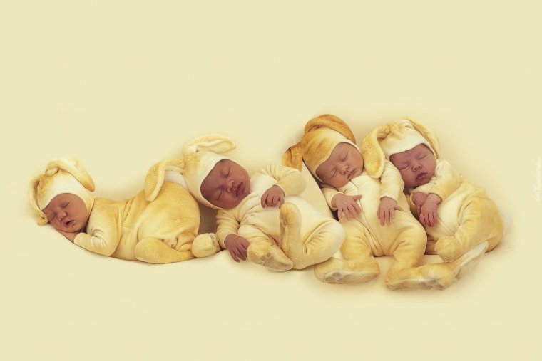 Новорожденные Анна Геддес