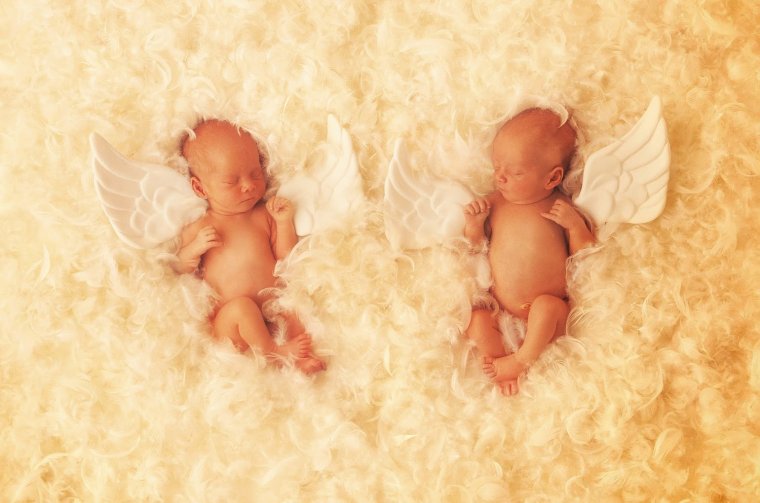 Дети Анна Геддес двое