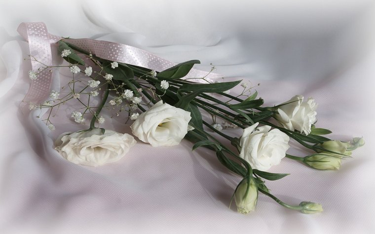 С днём рождения тебя Светлана