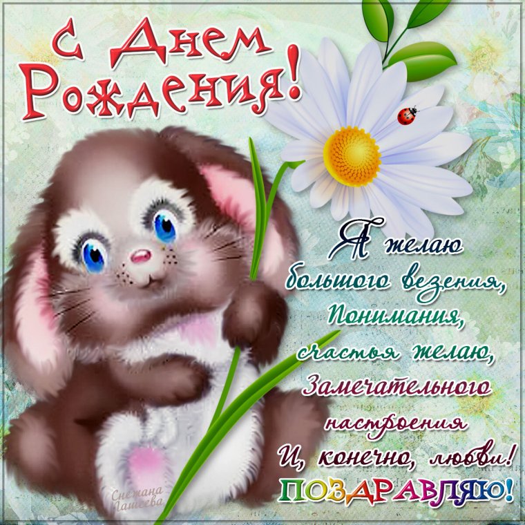 С днём рождения Арина