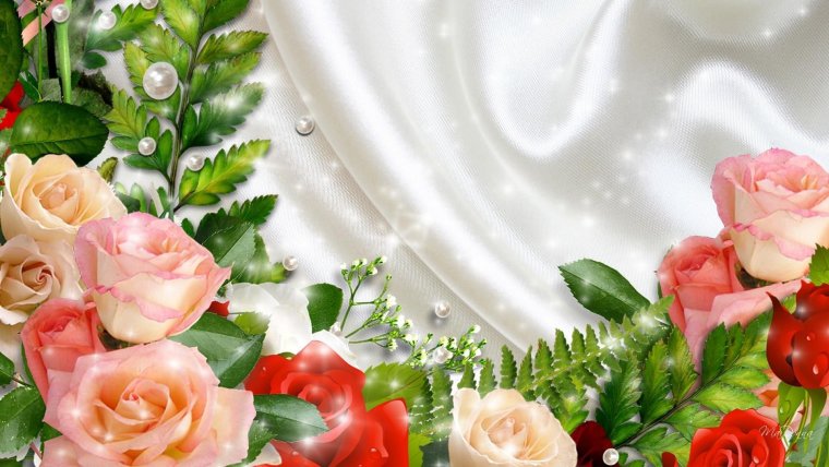 Розовые розы фон