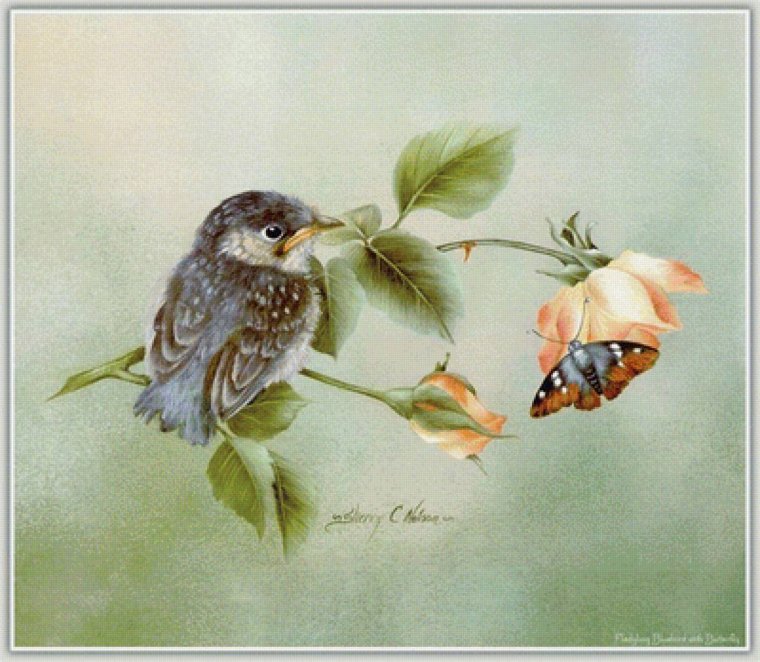 Художник Шерри Нельсон