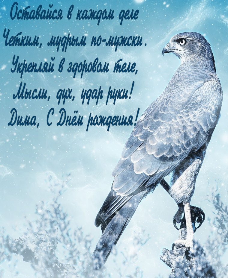 С днём рождения Димочка