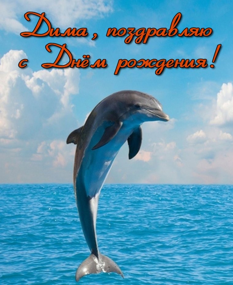 Павел с днём рождения поздравления