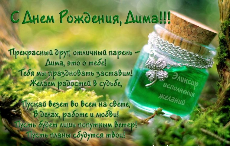 С днём рождения Димочка