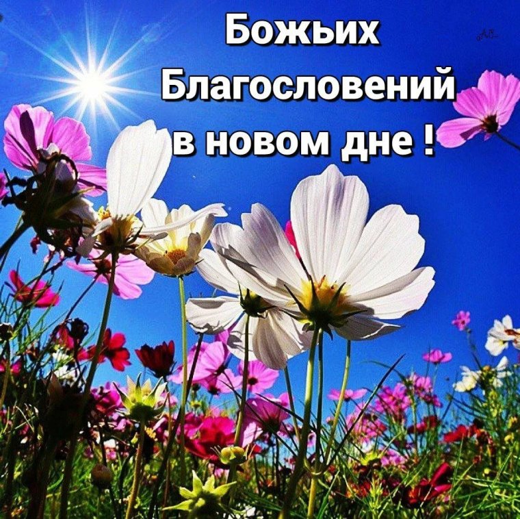 Добрый день Божьих благословений