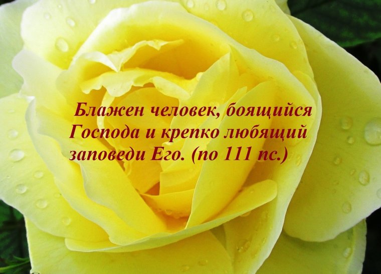 Желаю Божьего благословения