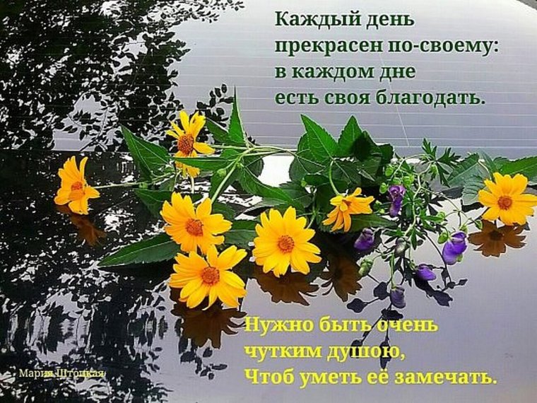 Доброе утро благословенного дня