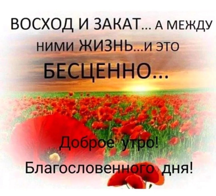Доброк УТРАИ благославенного дн