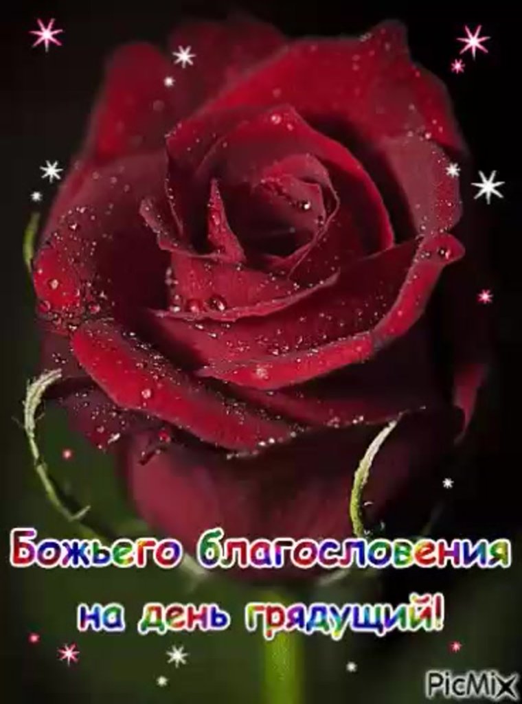 Анимации с божьими благословениями