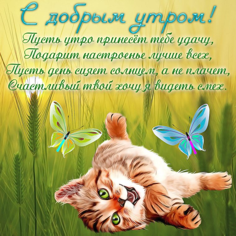 Открытки с пожеланием доброго утра