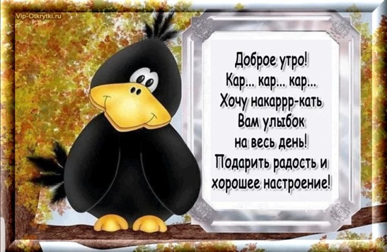 Шуточные пожелания с добрым утром