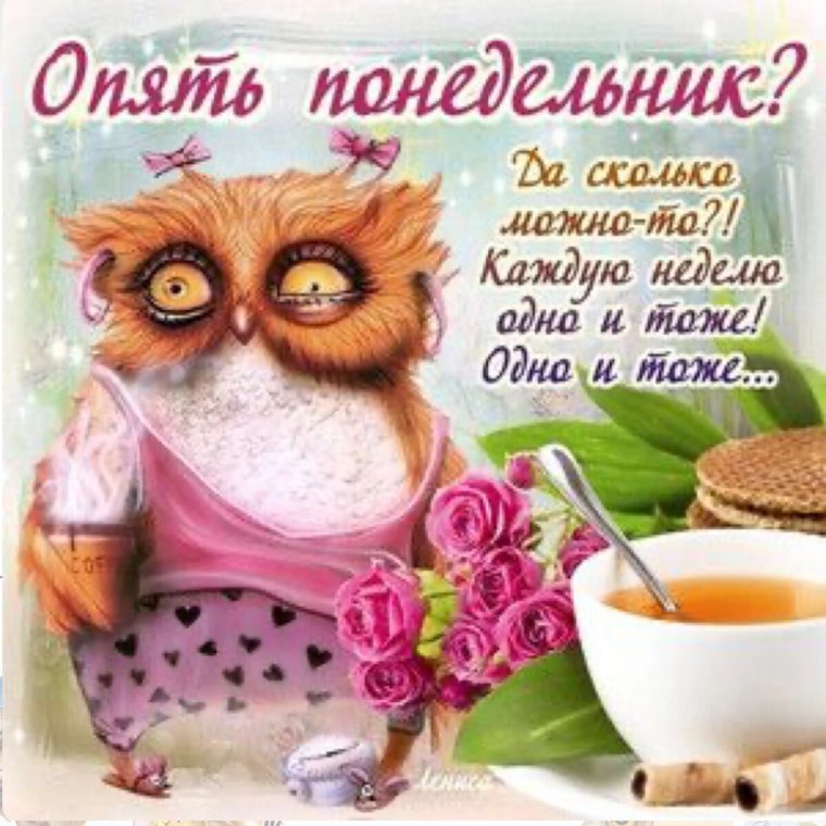 Доброе утро котенок