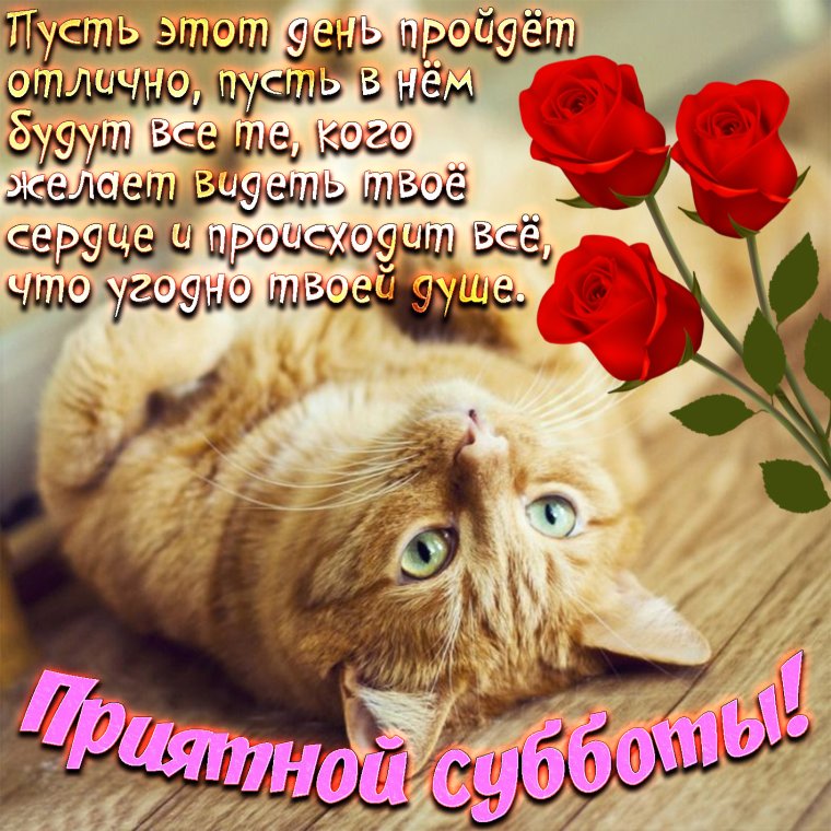 С добрым утром прикольные