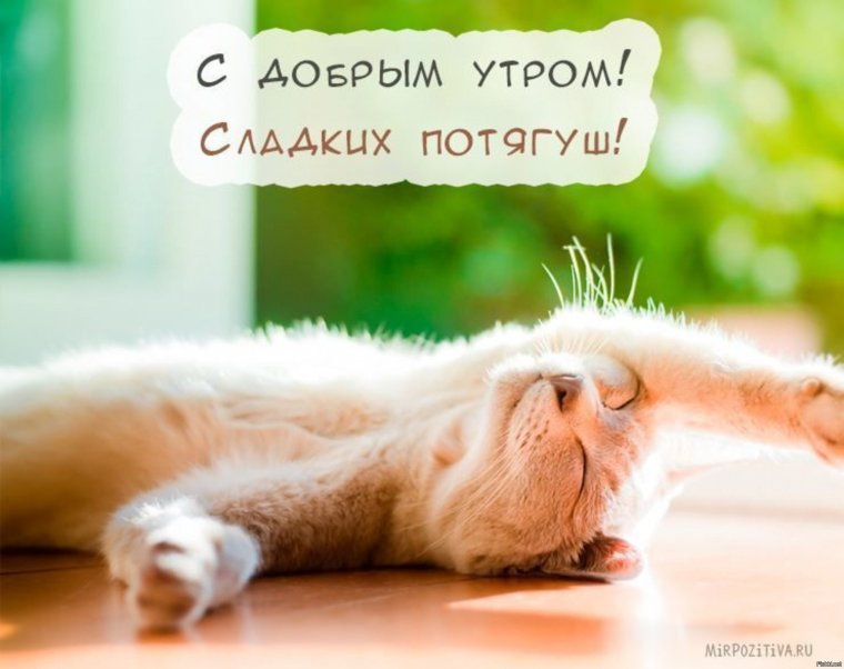 Доброе субботнее утро