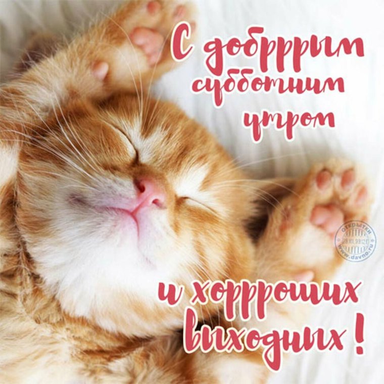 Открытки с добрым утром прикольные