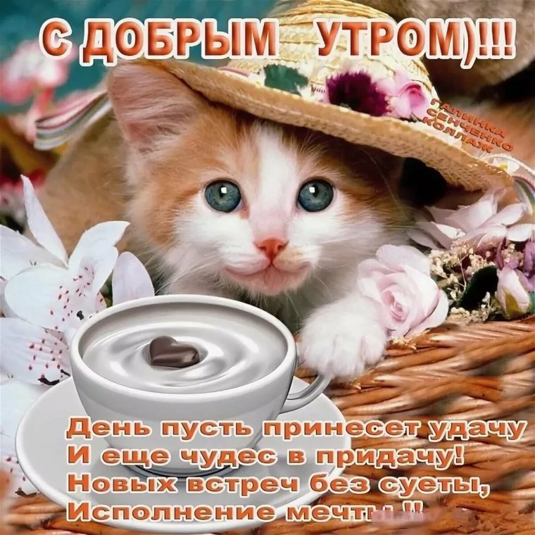 Пожелаеи ям ч дрбрым утром