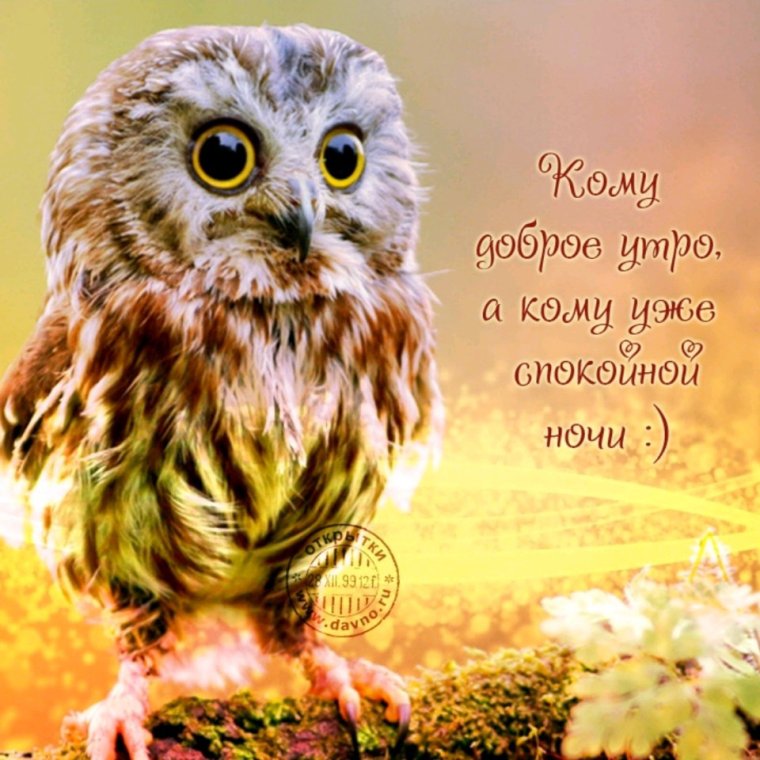 С добры м суббоьним утрои