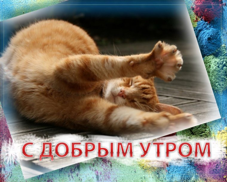 Доброе утро среда