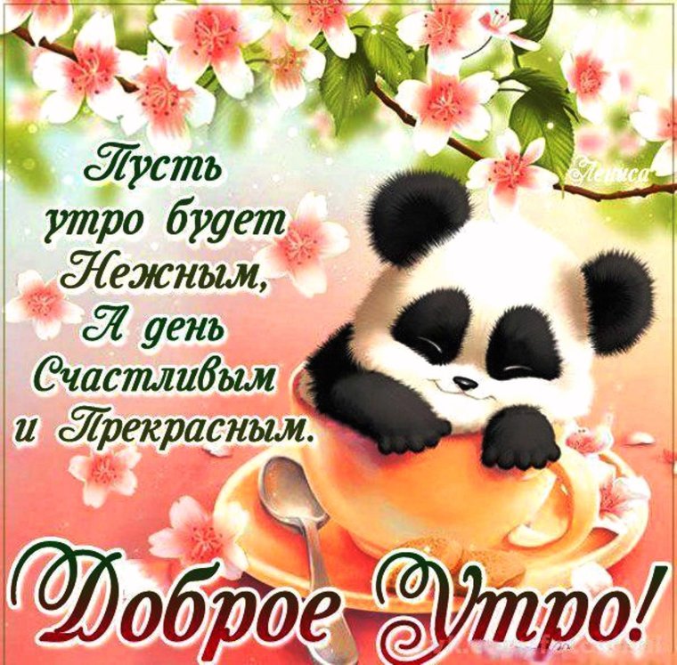 Доброе утро друзья