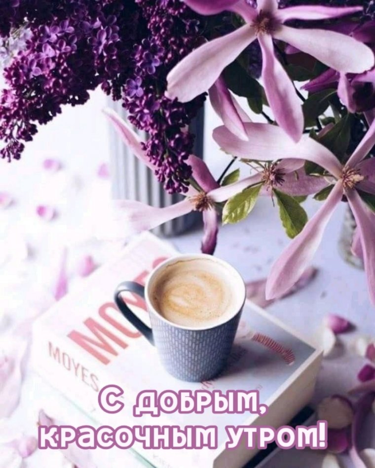 Кофе цветы утро стильные