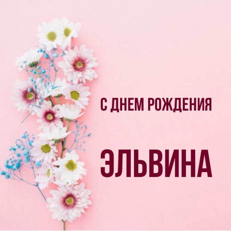 С днём рождения Шамиль