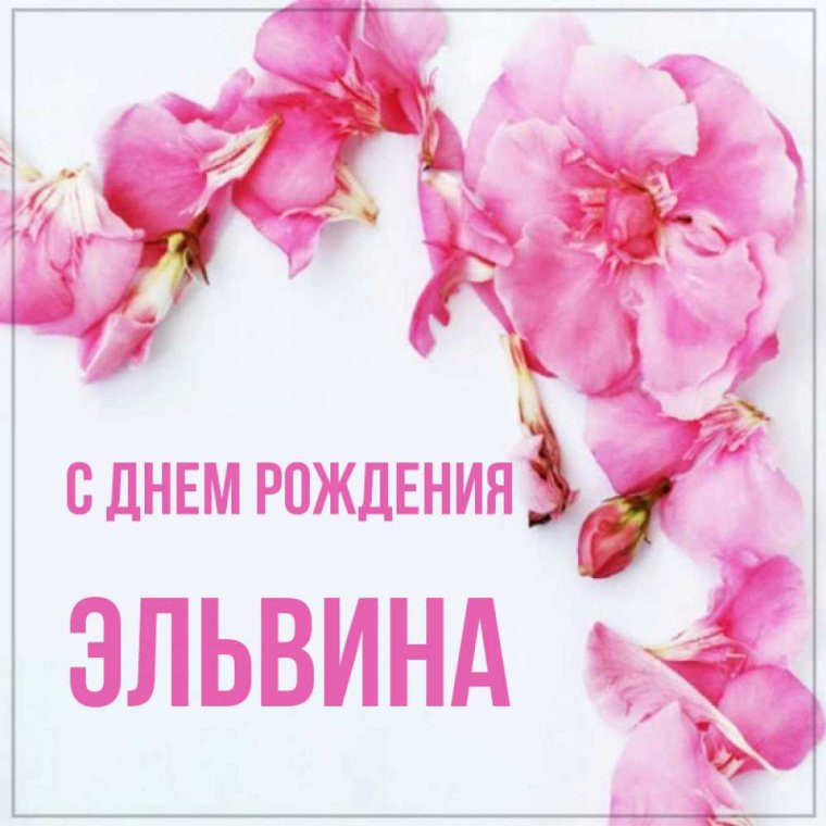 С днём рождения Эльвина