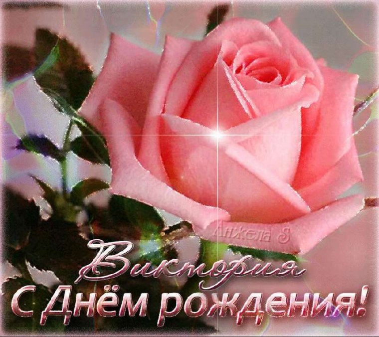 Поздравления с днём рождения Викуся