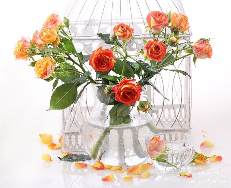 Открытки с днём рождения женщине