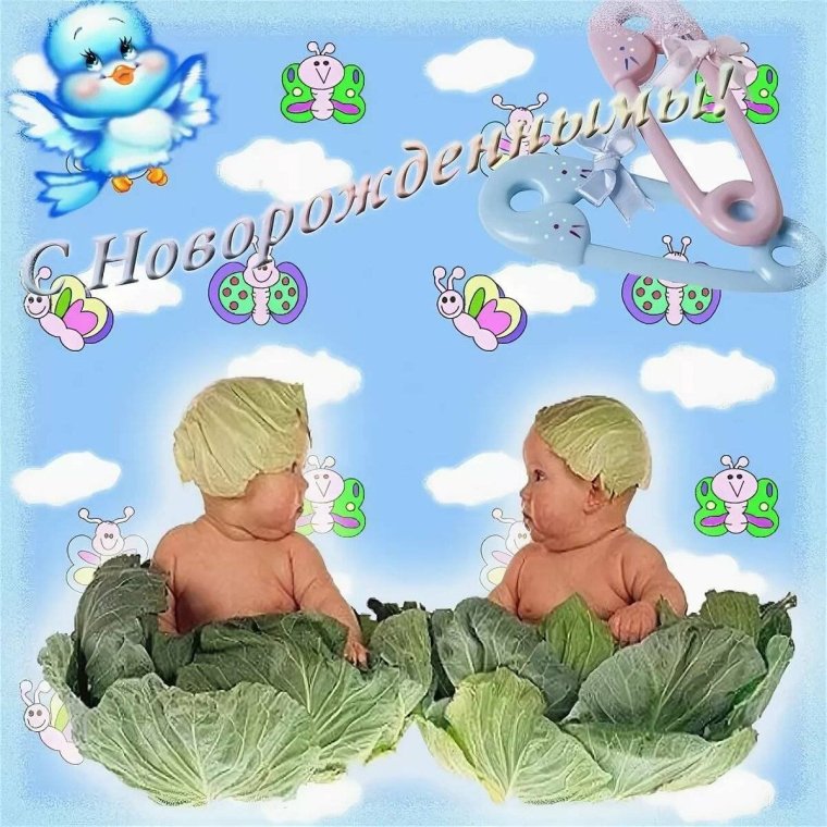 Поздравляю с рождением малышей двойняшек