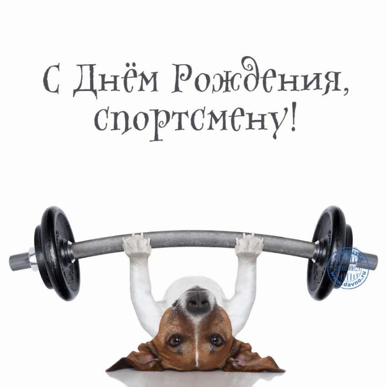 Торт для штангиста