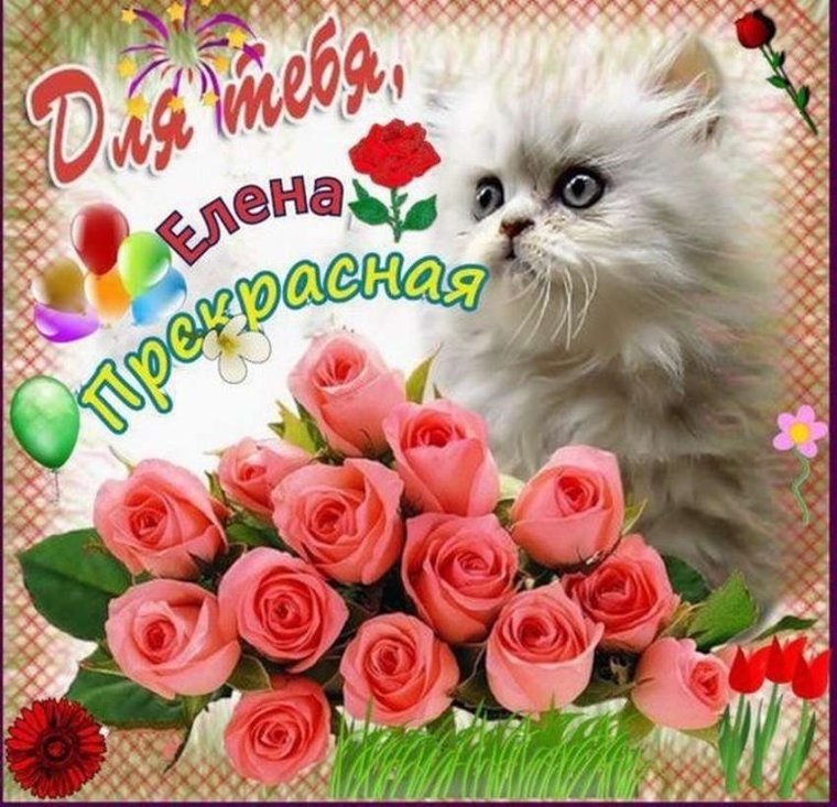 С днём рождения Леночка