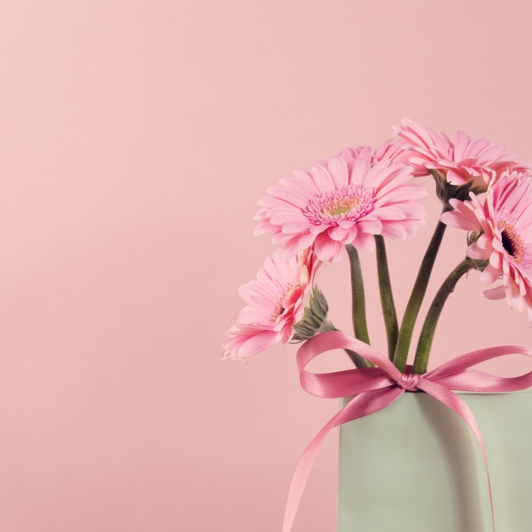 Розовые герберы