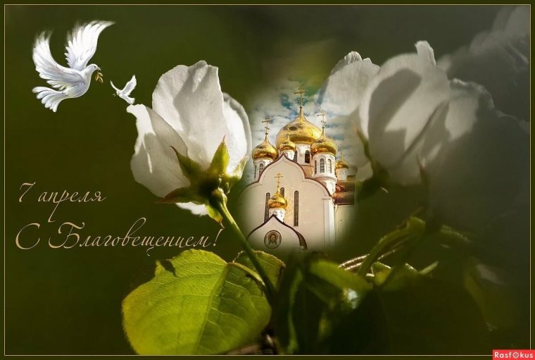 С добрым утром православные
