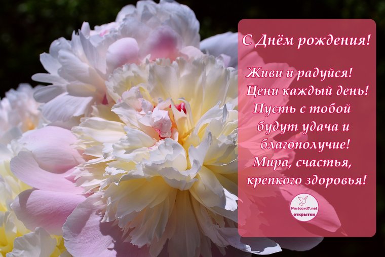 Поздравления с днём рождения пионы